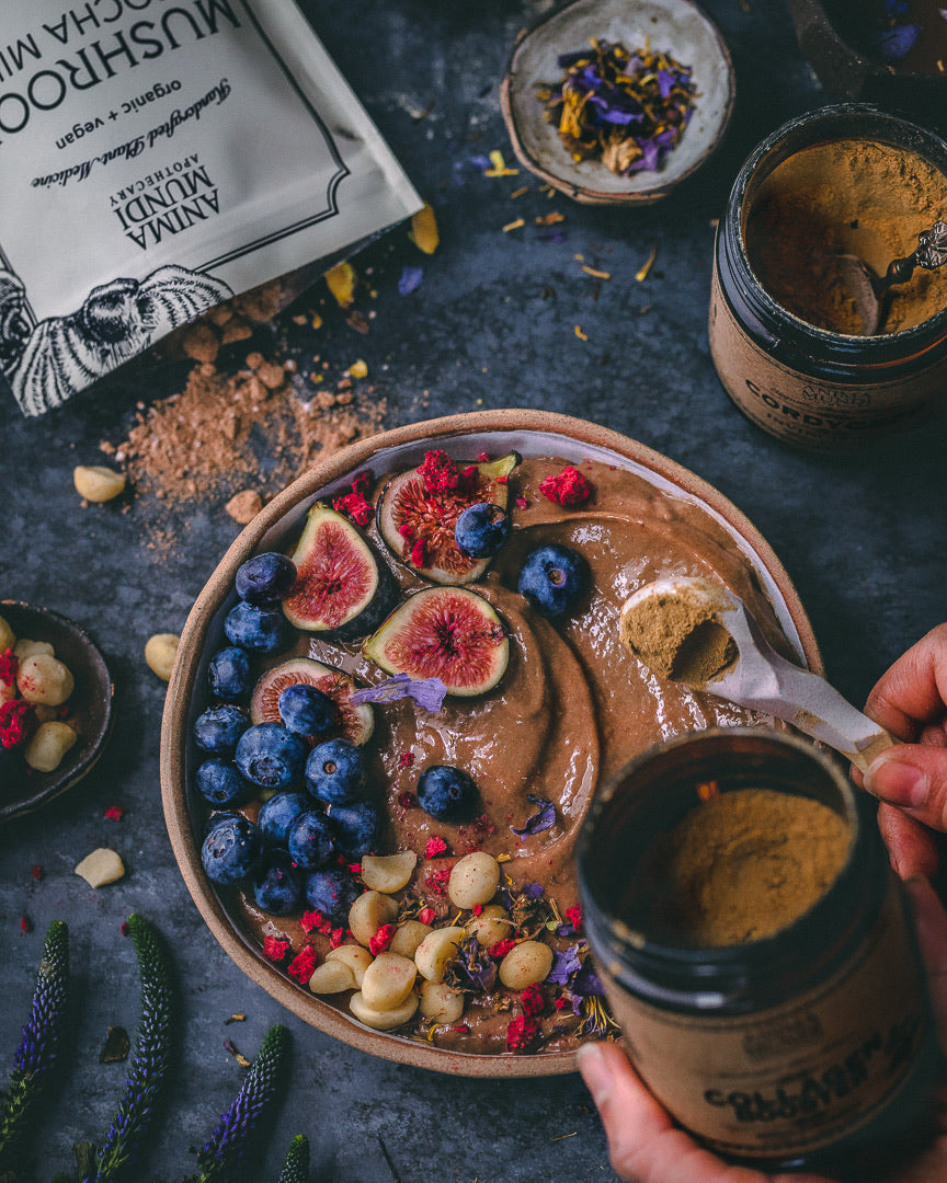 MUSHROOM MOCHA MILK | Adaptogenic Creamer*