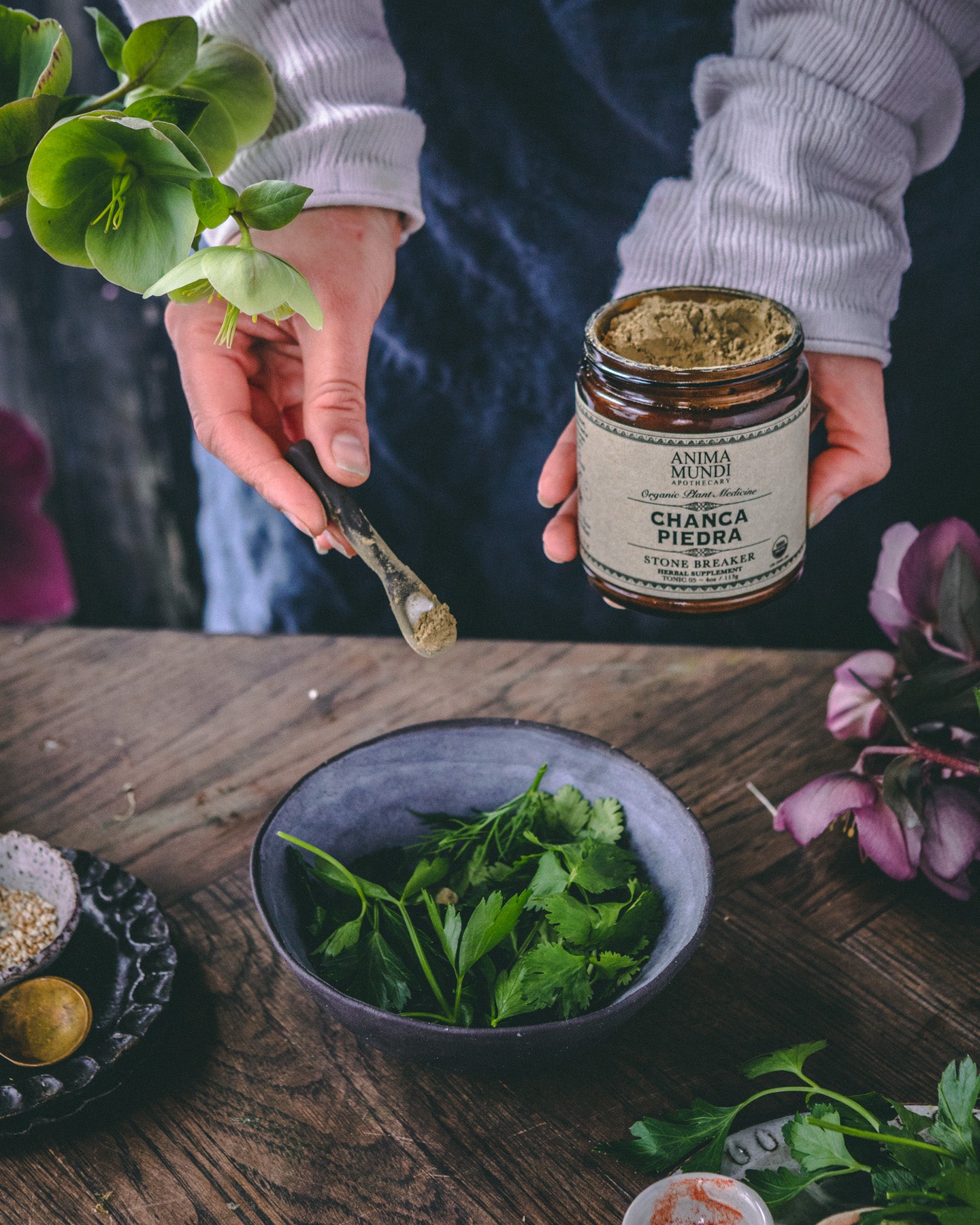 CHANCA PIEDRA | Traditional Amazonian “Stone Breaker”*