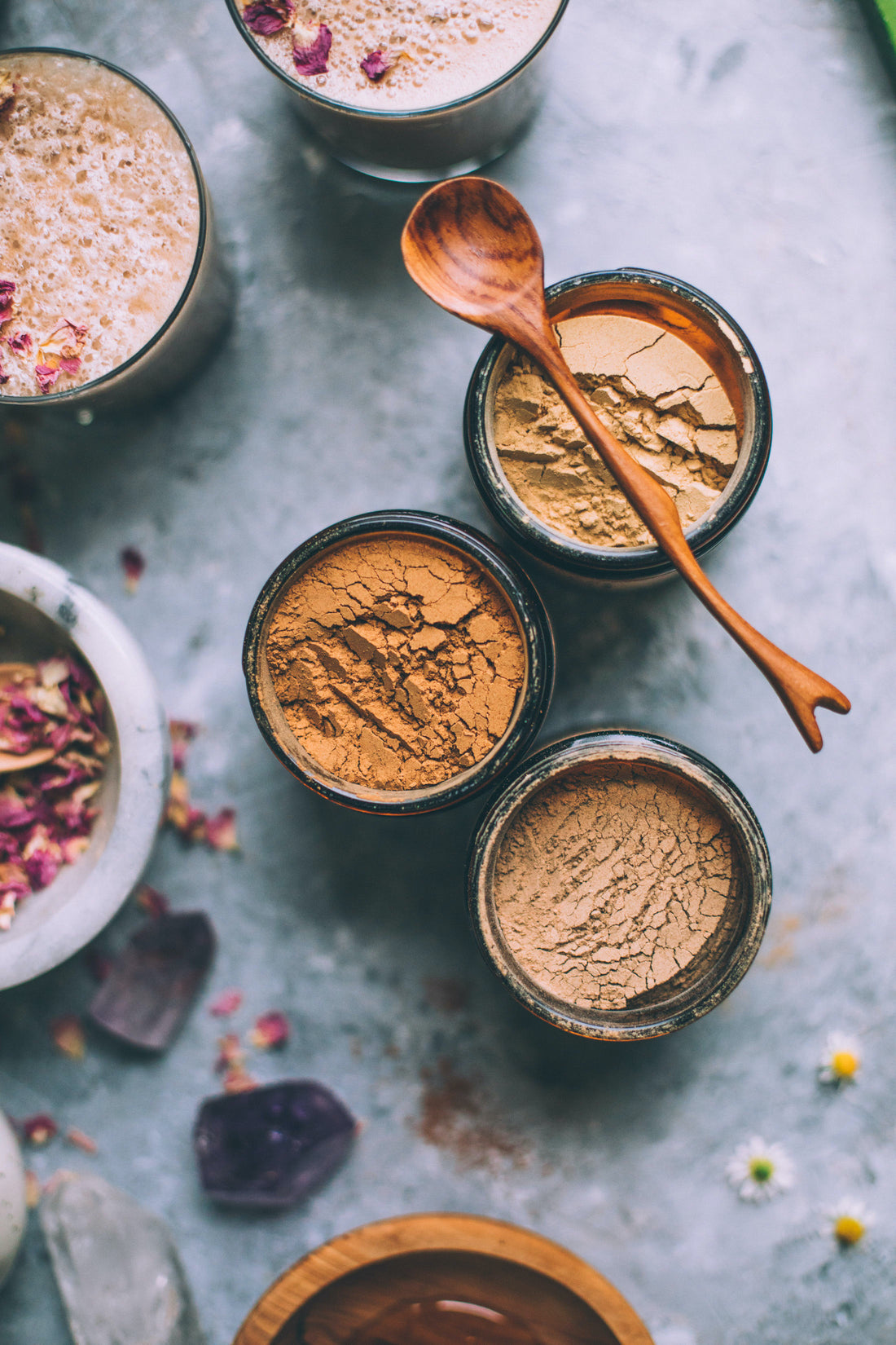 Adaptogenic Mushroom Set, Organic + Locally Grown | BUNDLE