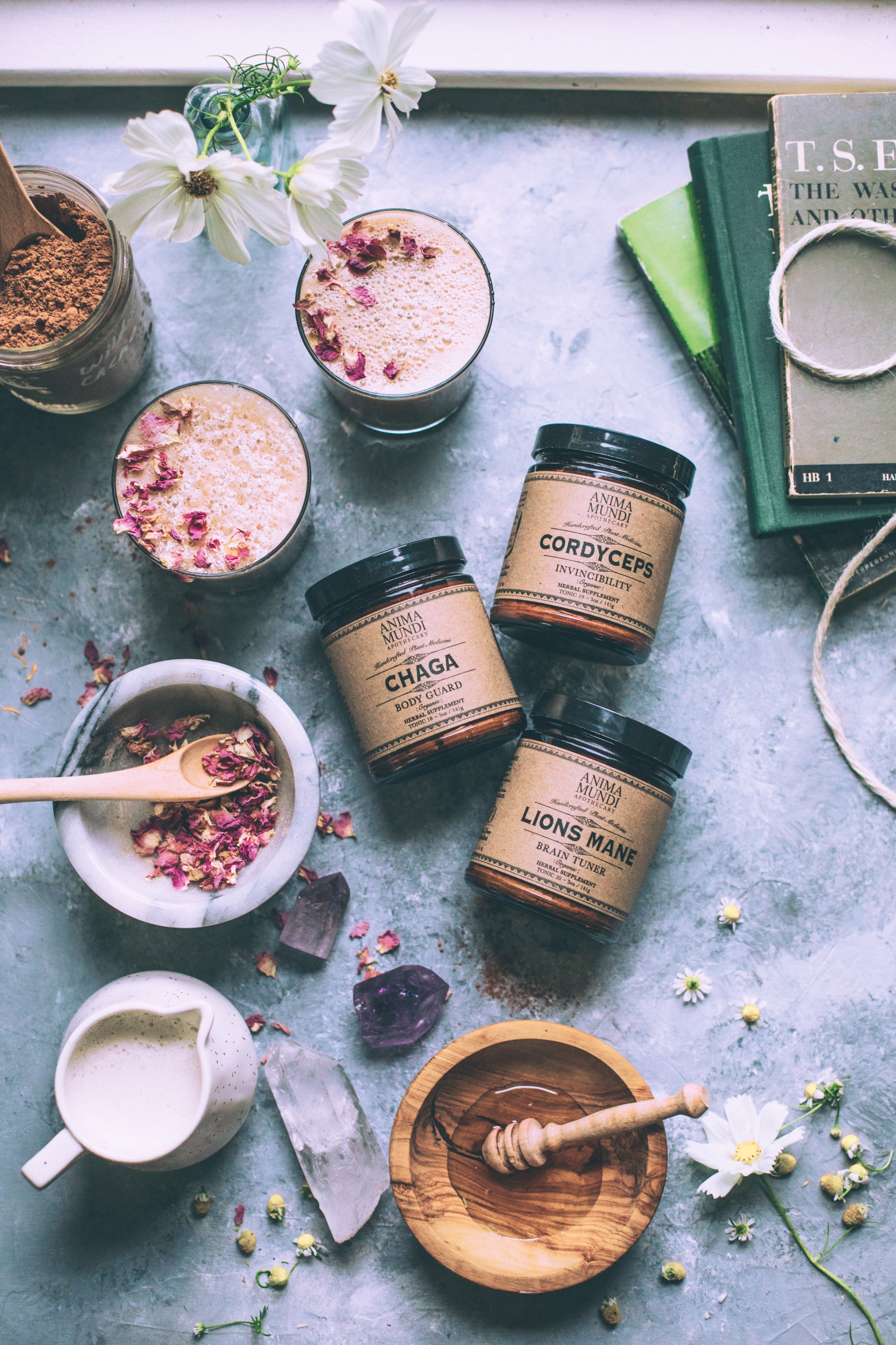 Adaptogenic Mushroom Set, Organic + Locally Grown | BUNDLE