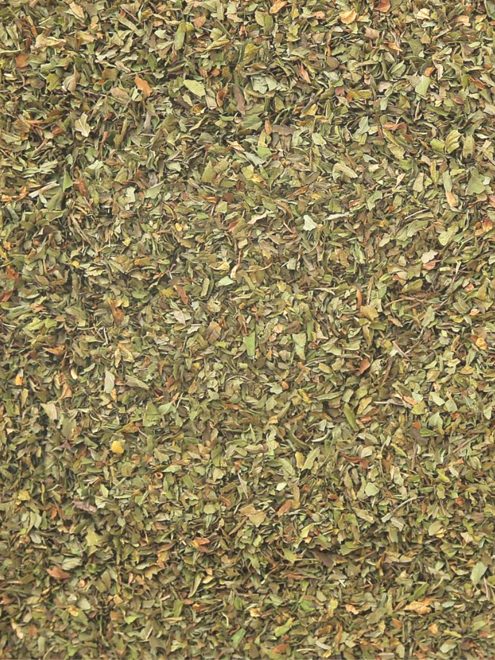 Peppermint Leaf, Organic 4 oz BULK BAG