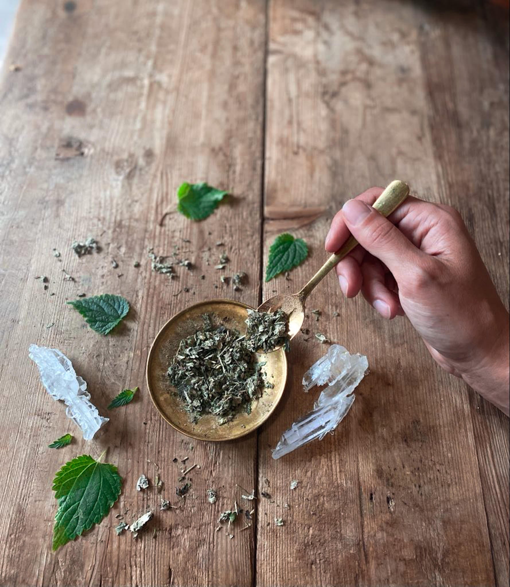 WOMB Tea | Nourish + Empower*