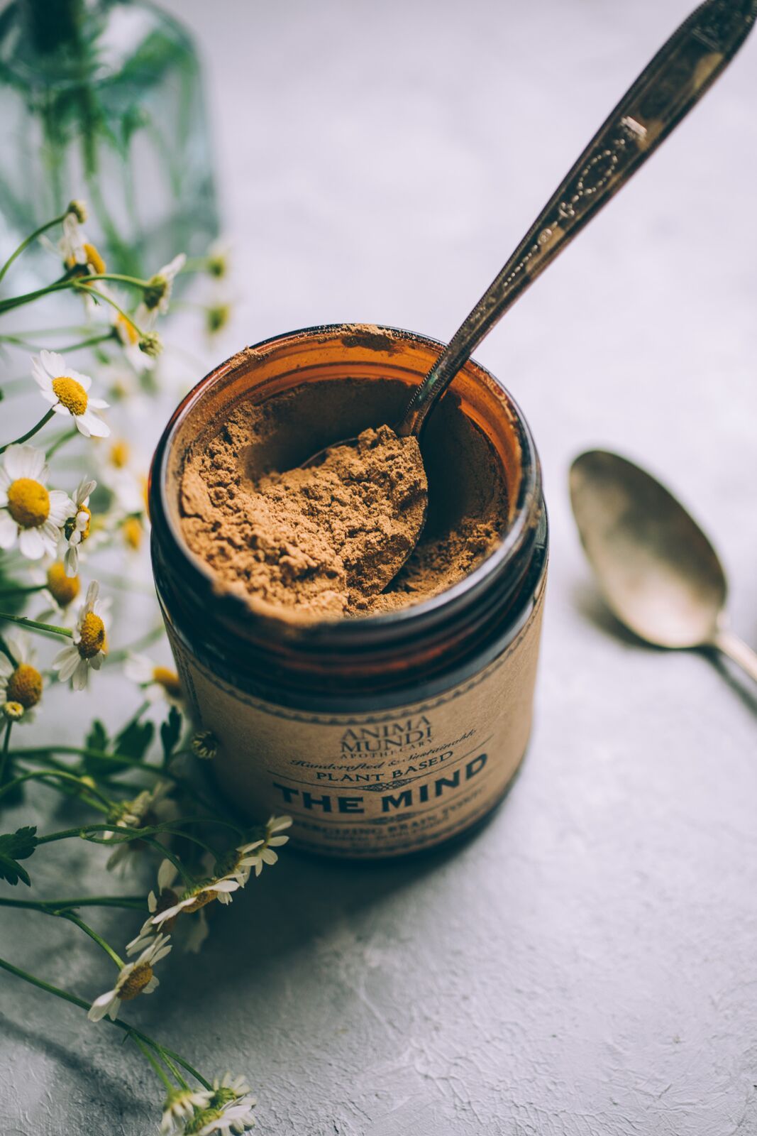 THE MIND | Cognition + Focus*