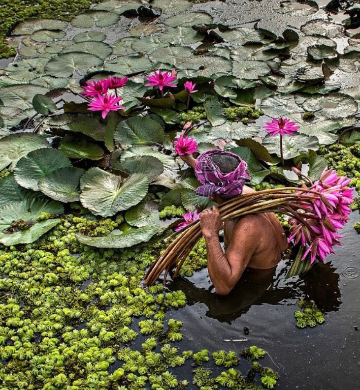 7 RAINFOREST HERBS That Will Get You Naturally High, Boost Your Sex Drive And Make You Joyful