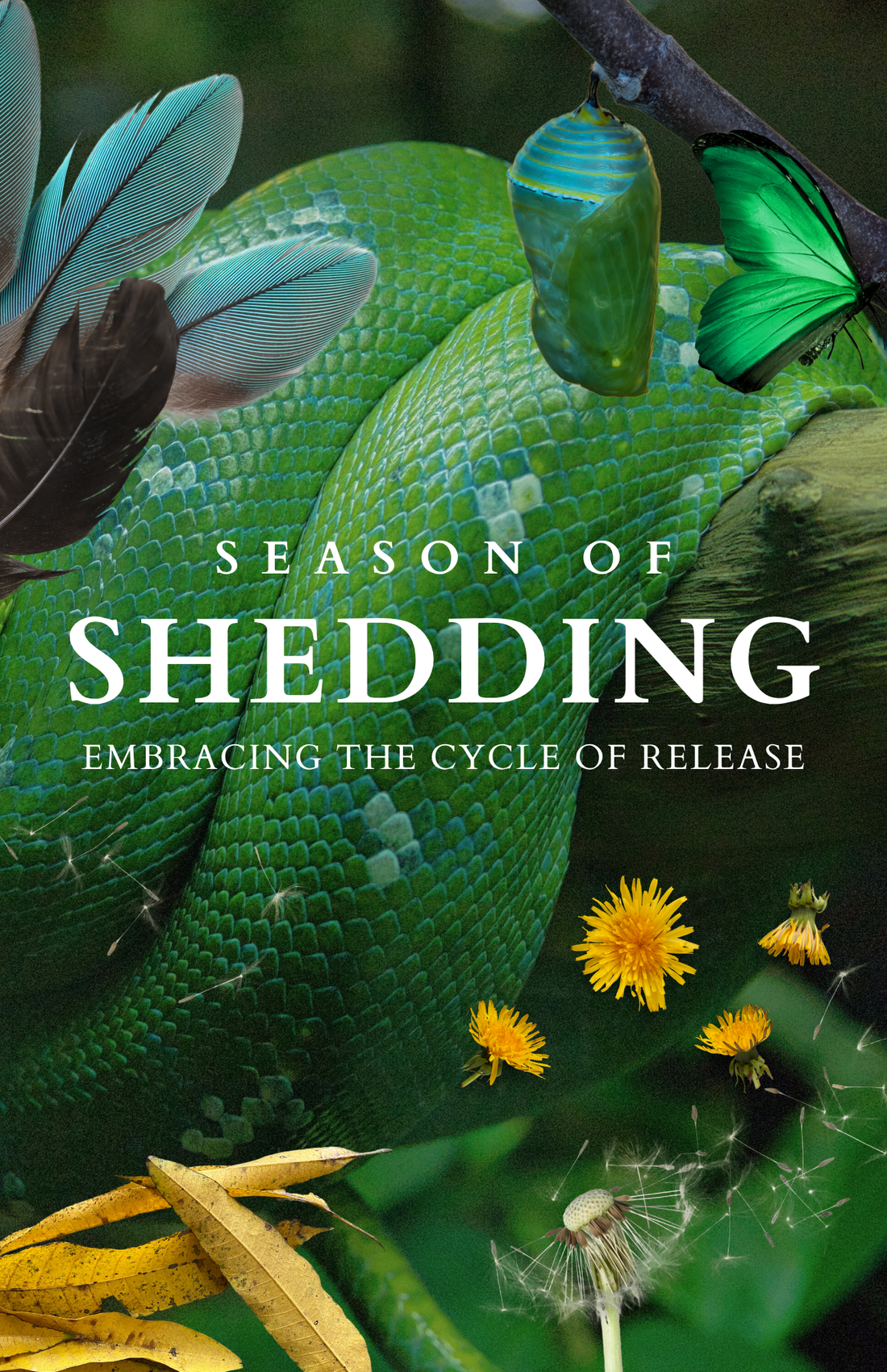 SEASON OF SHEDDING: Embracing The Cycle of Release