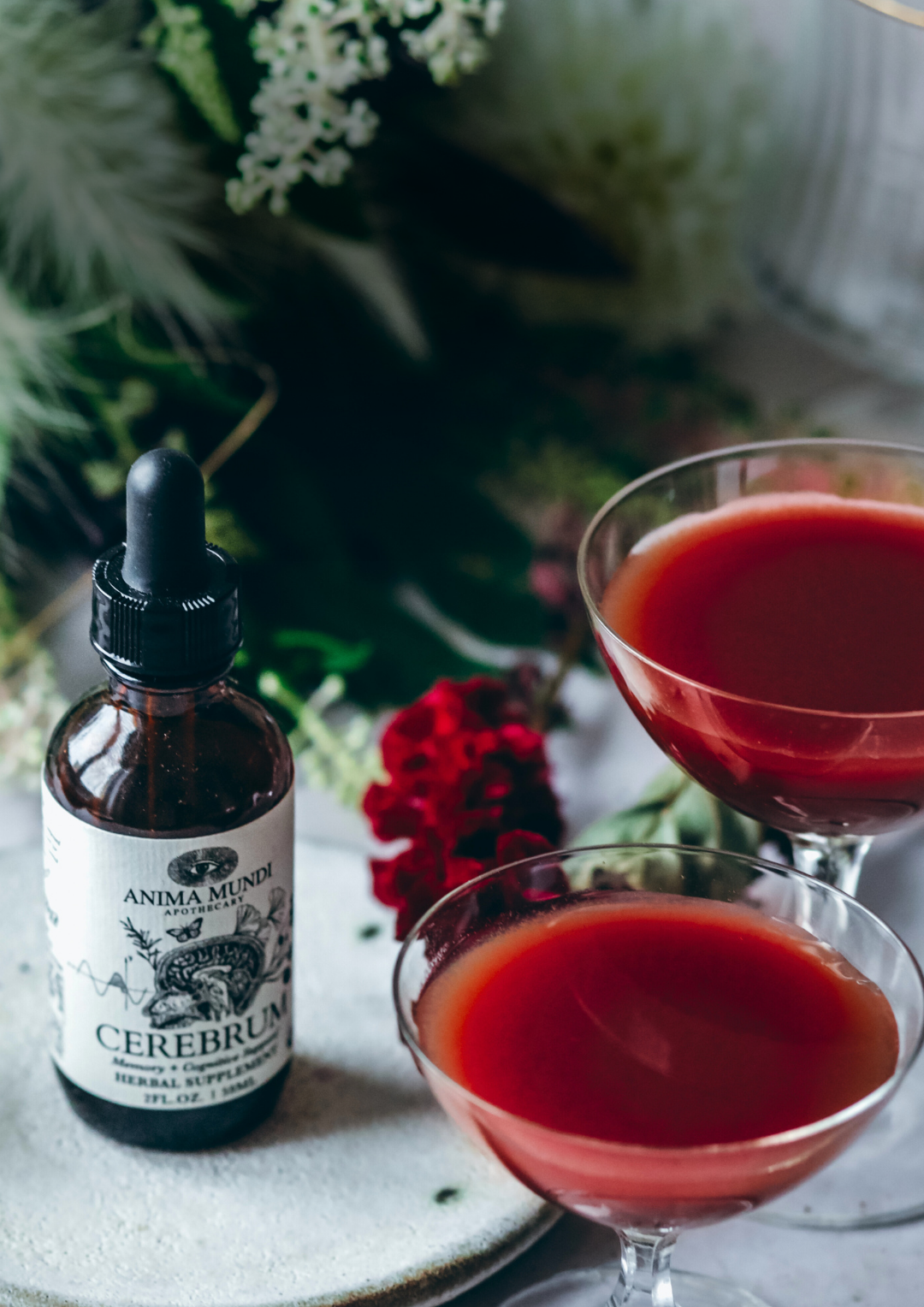 LONGEVITY MENTAL WELLNESS: A Holistic Approach to Aging Well