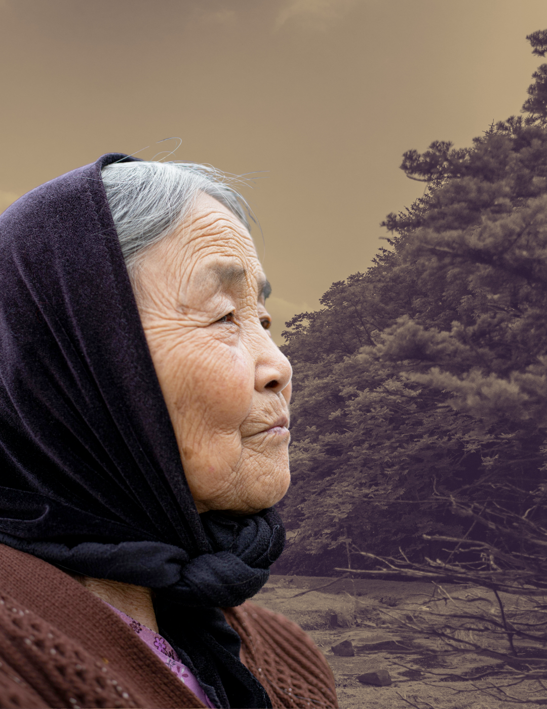 BLUE ZONES LONGEVITY Herbs: 5 Ancestral Habits of the World's Longest-Lived Peoples