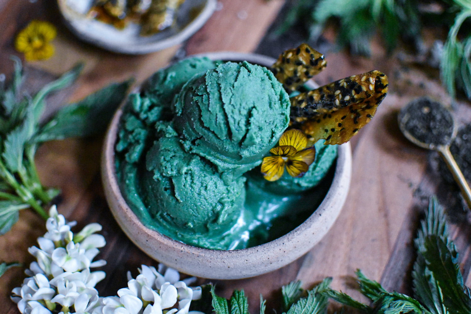 NETTLE GINGER ICE Cream (Vegan!)