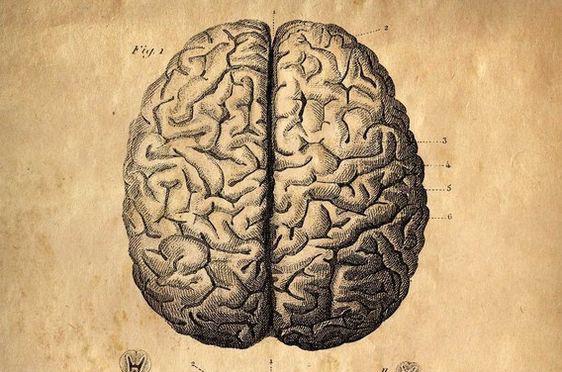 HOW TO BANISH BRAIN FOG using these 4 herbs