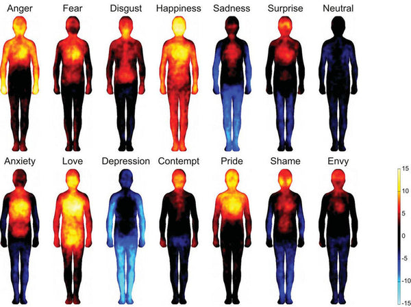 HOW POSITIVE EMOTIONS  REDUCE INFLAMMATION
