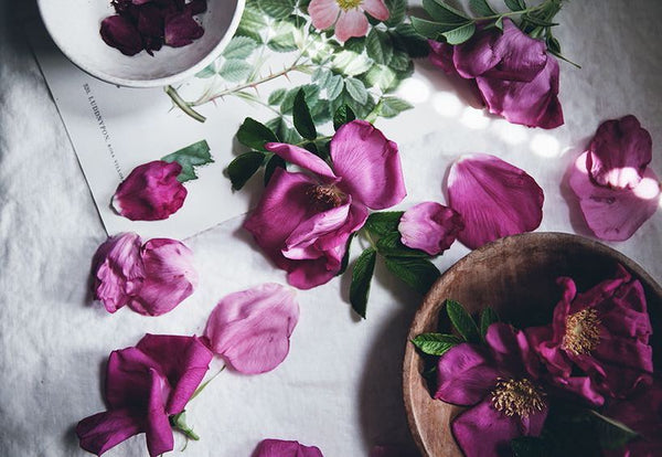 THE HEALING POWERS Of Rose