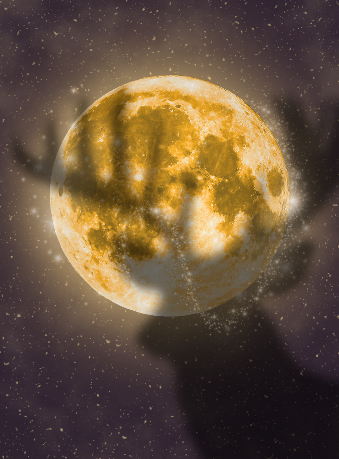 Buckle Up for the Full Buck Moon in Aquarius: Your August COSMIC FORECAST