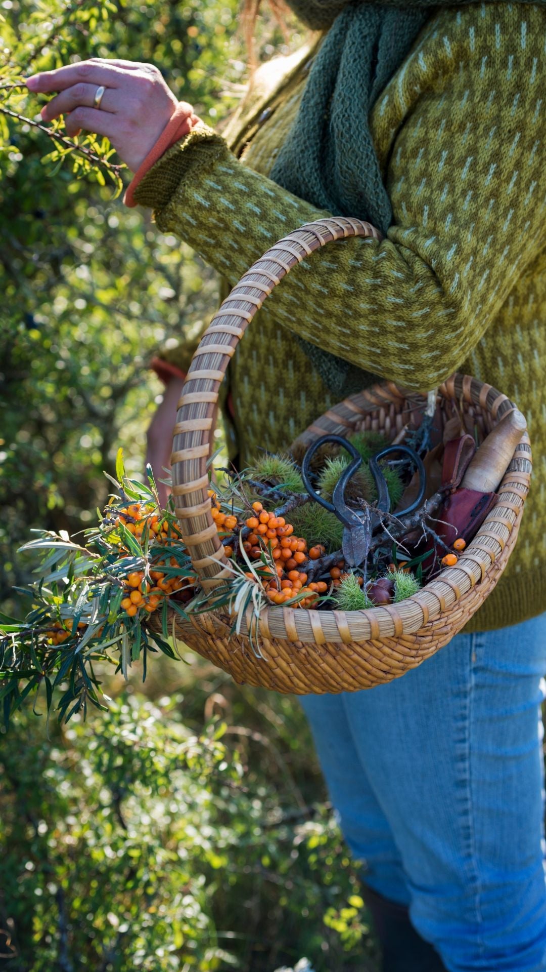 WILD & EDIBLE SPRING in the Americas