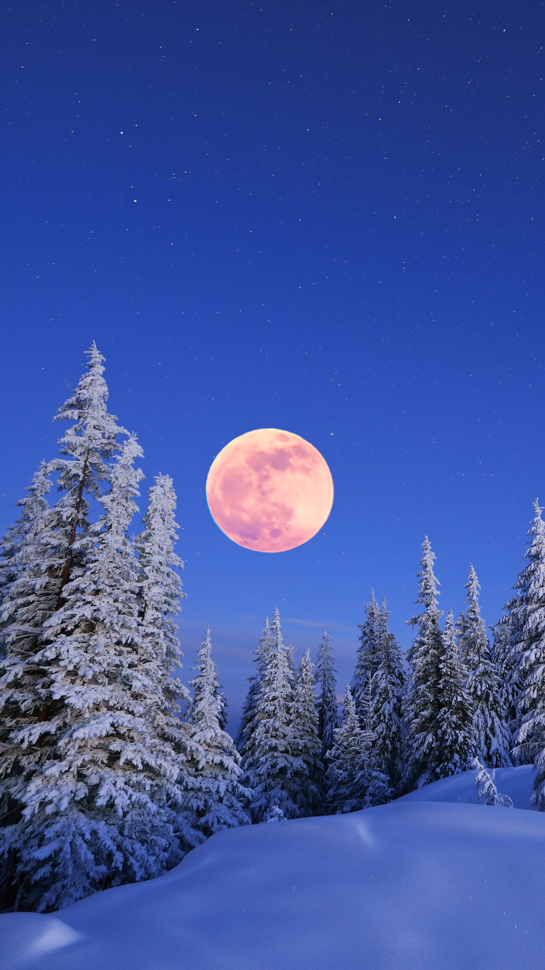 STEP THROUGH THE Portal of the February Snow Moon in Leo