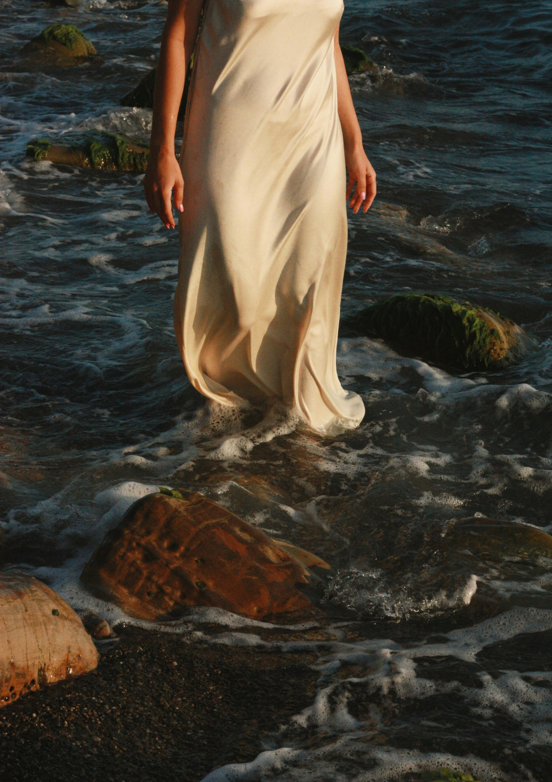 HERBAL HORMONE BALANCERS: What New Research Says About Phytoestrogens