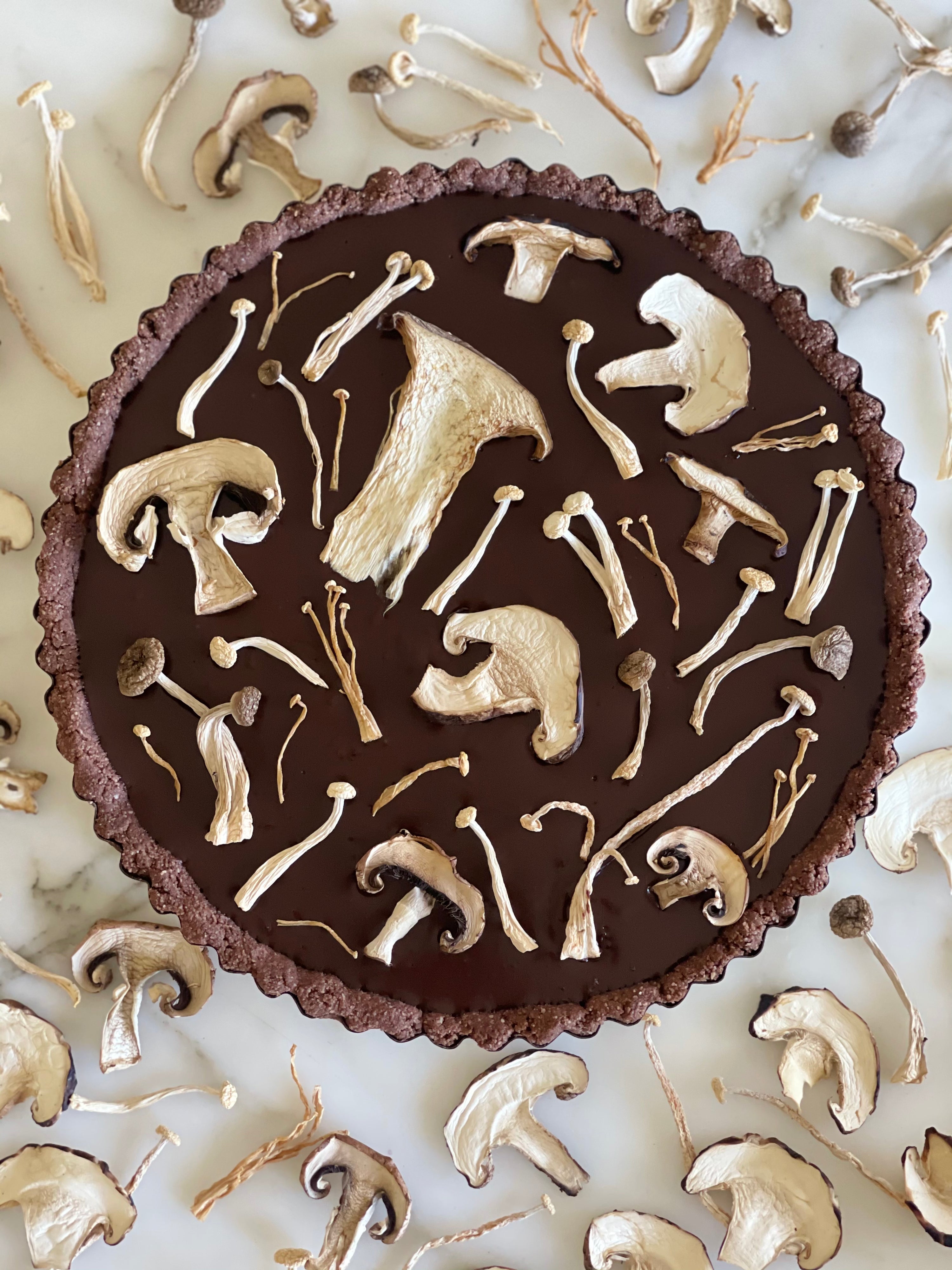 THE BEST CHOCOLATE MUSHROOM TART with 7 Adaptogenic Mushrooms