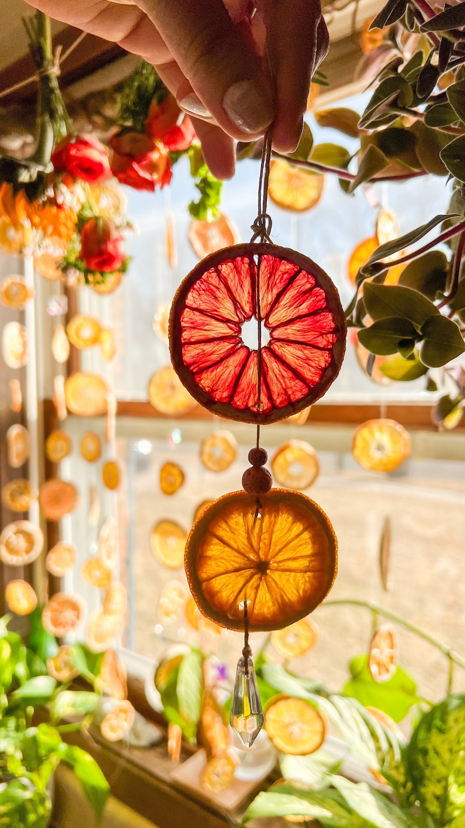 DIY SOLAR CITRUS Diffusers with Floral Essential Oils