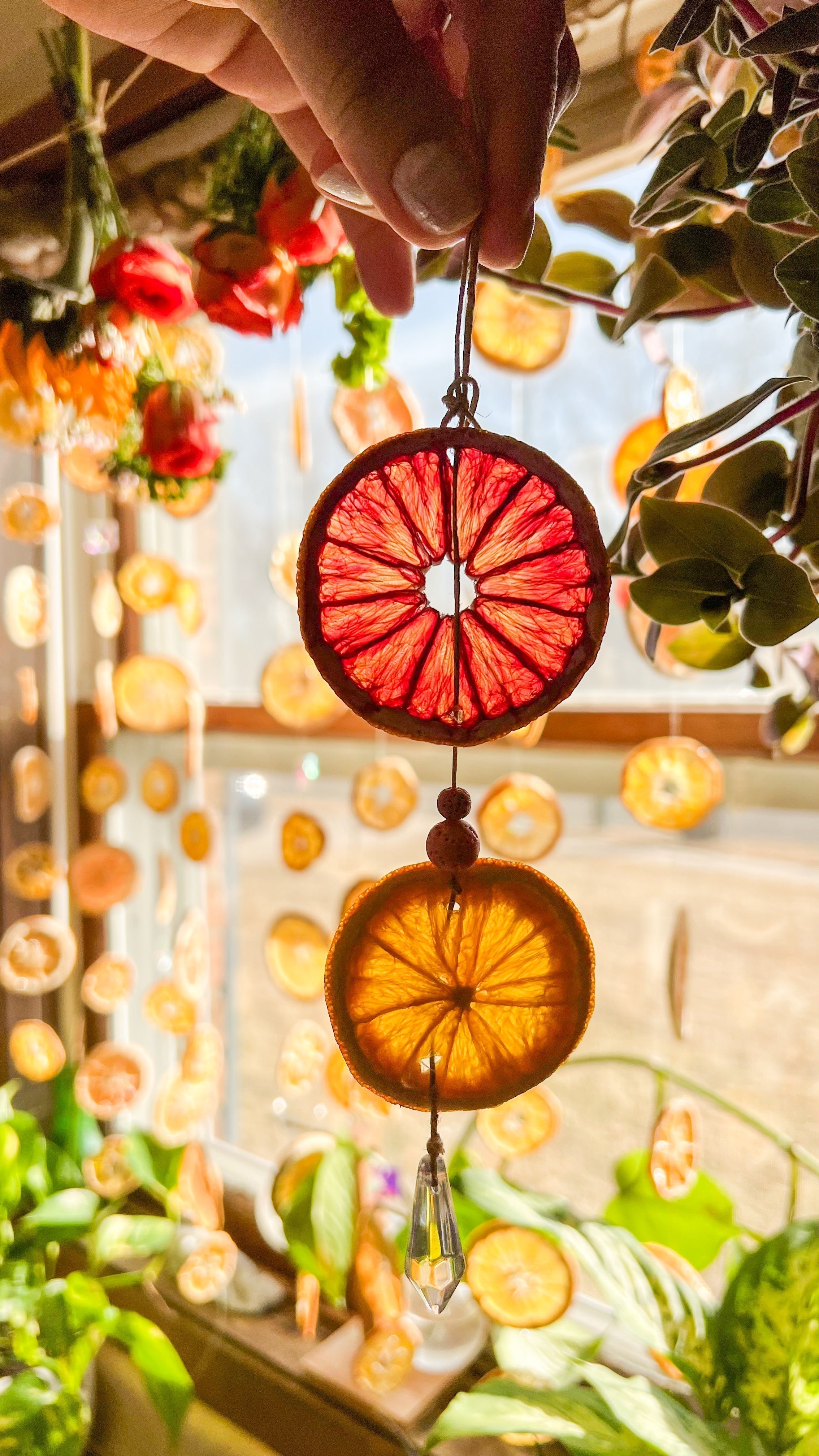 DIY SOLAR CITRUS Diffusers with Floral Essential Oils