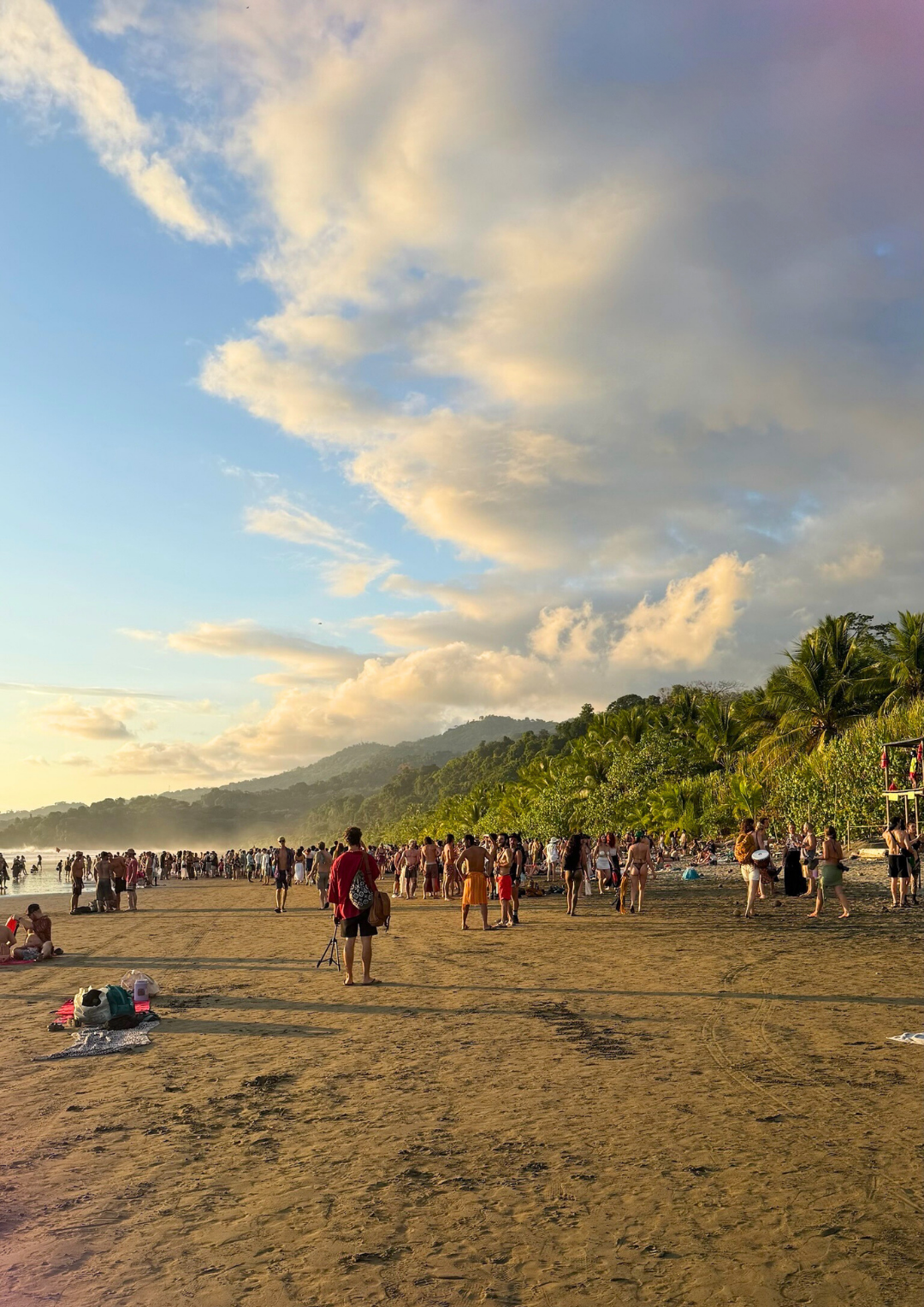 MARCH HAPPENINGS @ Anima Mundi