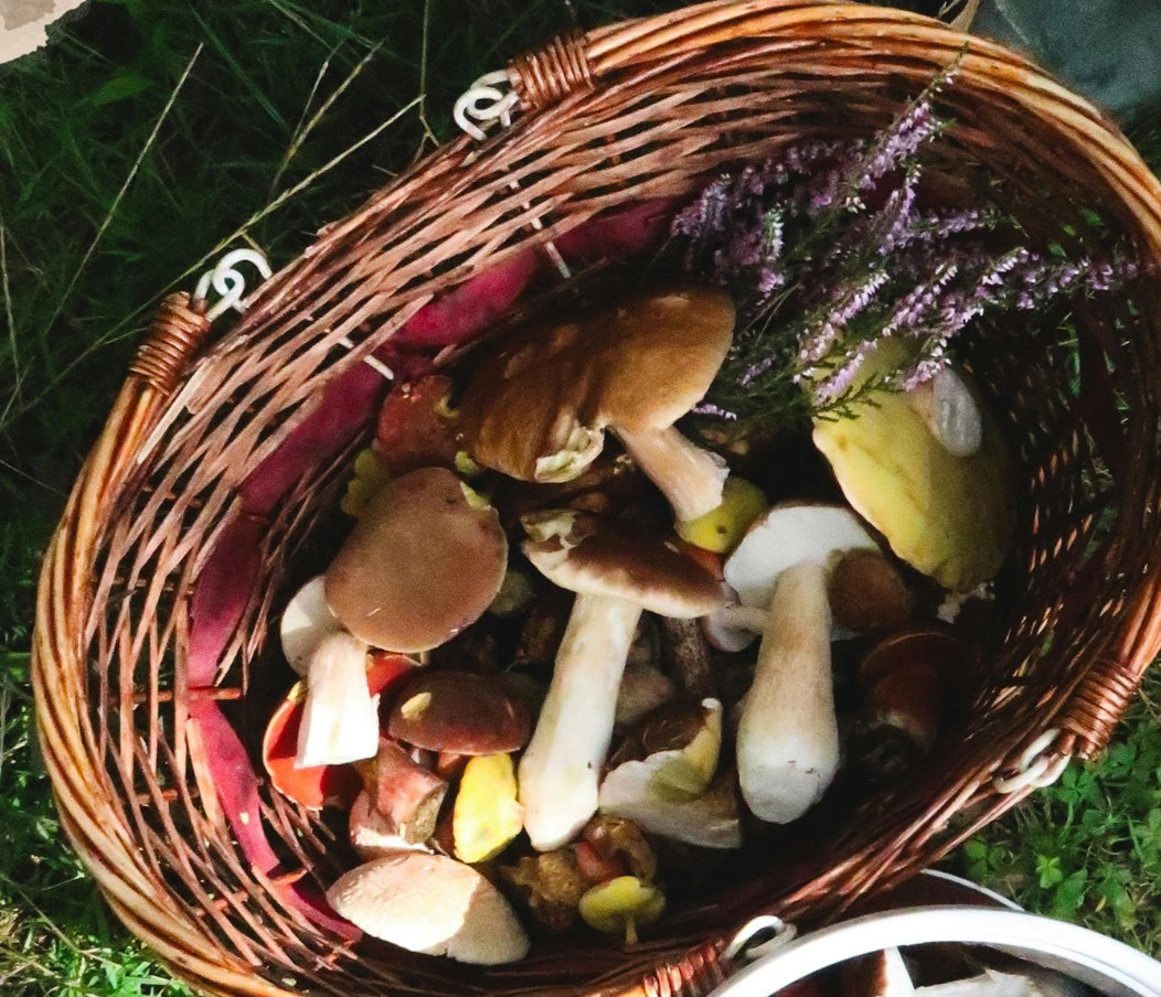 THE HERBALIST'S GUIDE to Spring Mushroom Foraging