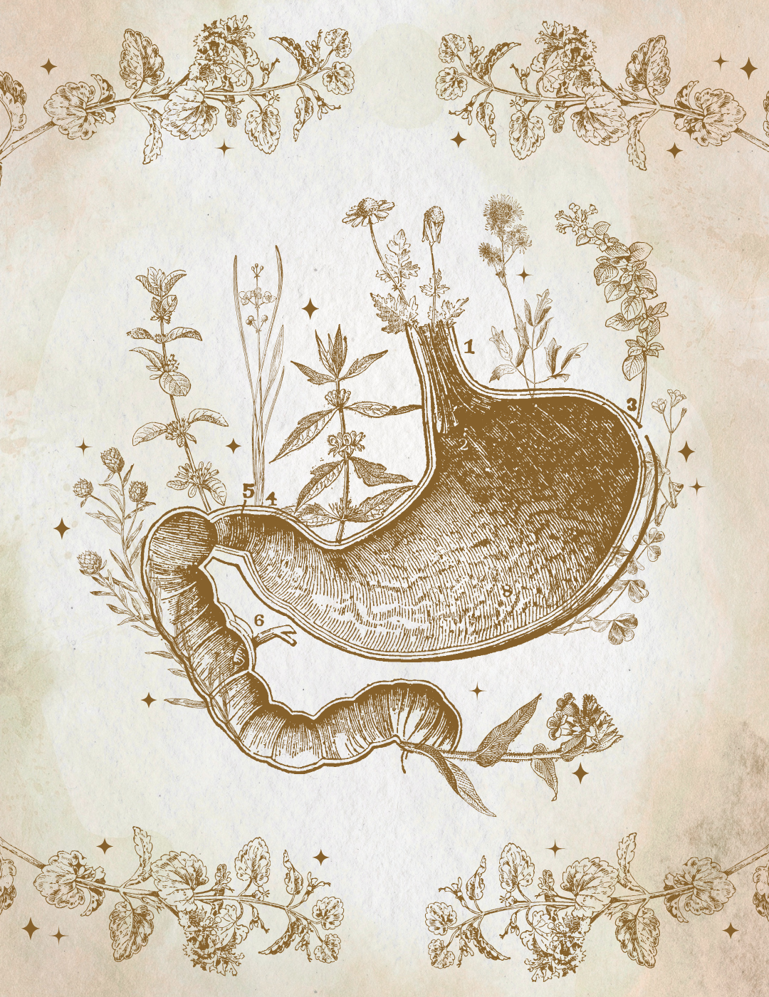 REWILDING YOUR INNER Ecosystem: Why Biodiversity Matters for Gut Health