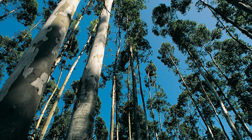 ECO-PROJECTS + DISTILLERS: Inspiring stories, positive footprints