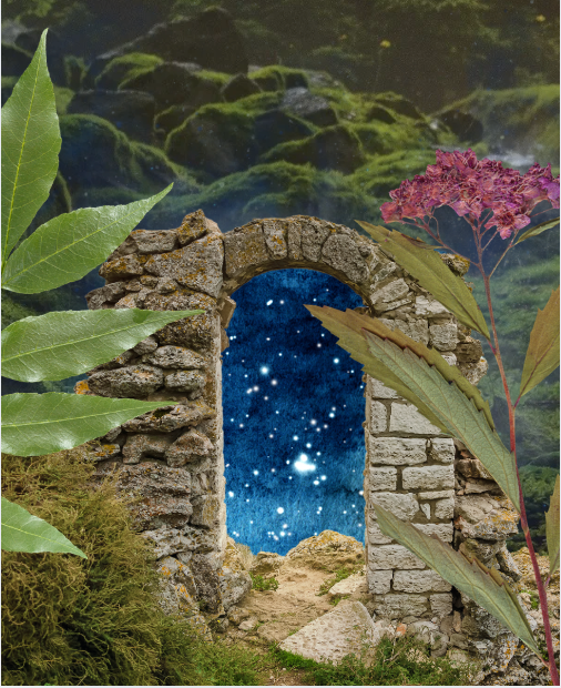 COSMIC CURRENTS: MEDICAL Astrology + Herbs