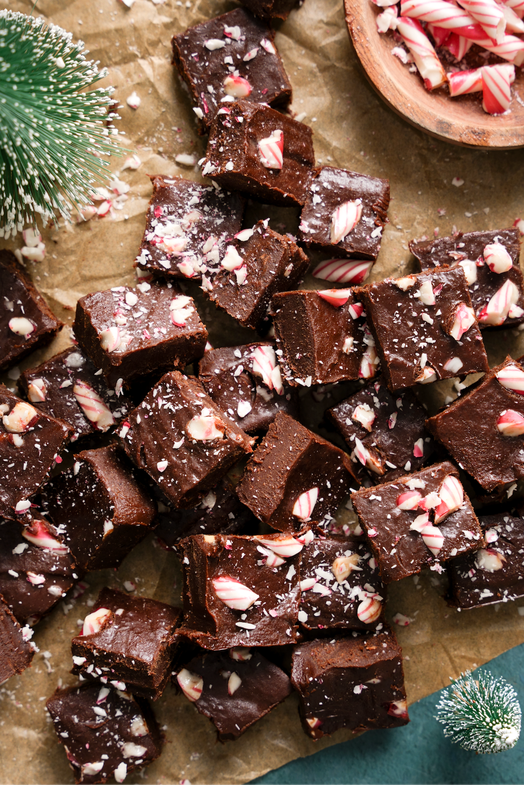 VEGAN MUSHROOM MOCHA FUDGE with Crushed Candy Canes