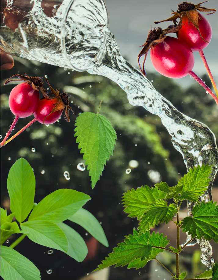 MINERALMAXXING: HOW TO Replenish After Winter What Stress Depletes