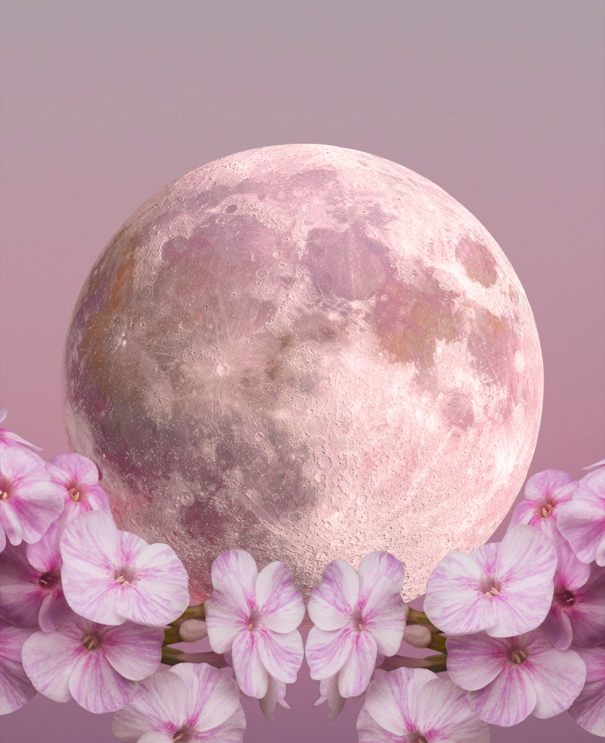 THE FULL PINK Moon Enters the Sign of Libra on April Fool's Day