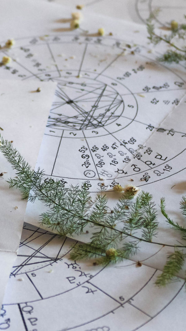 THE ASTROLOGY OF Herbs