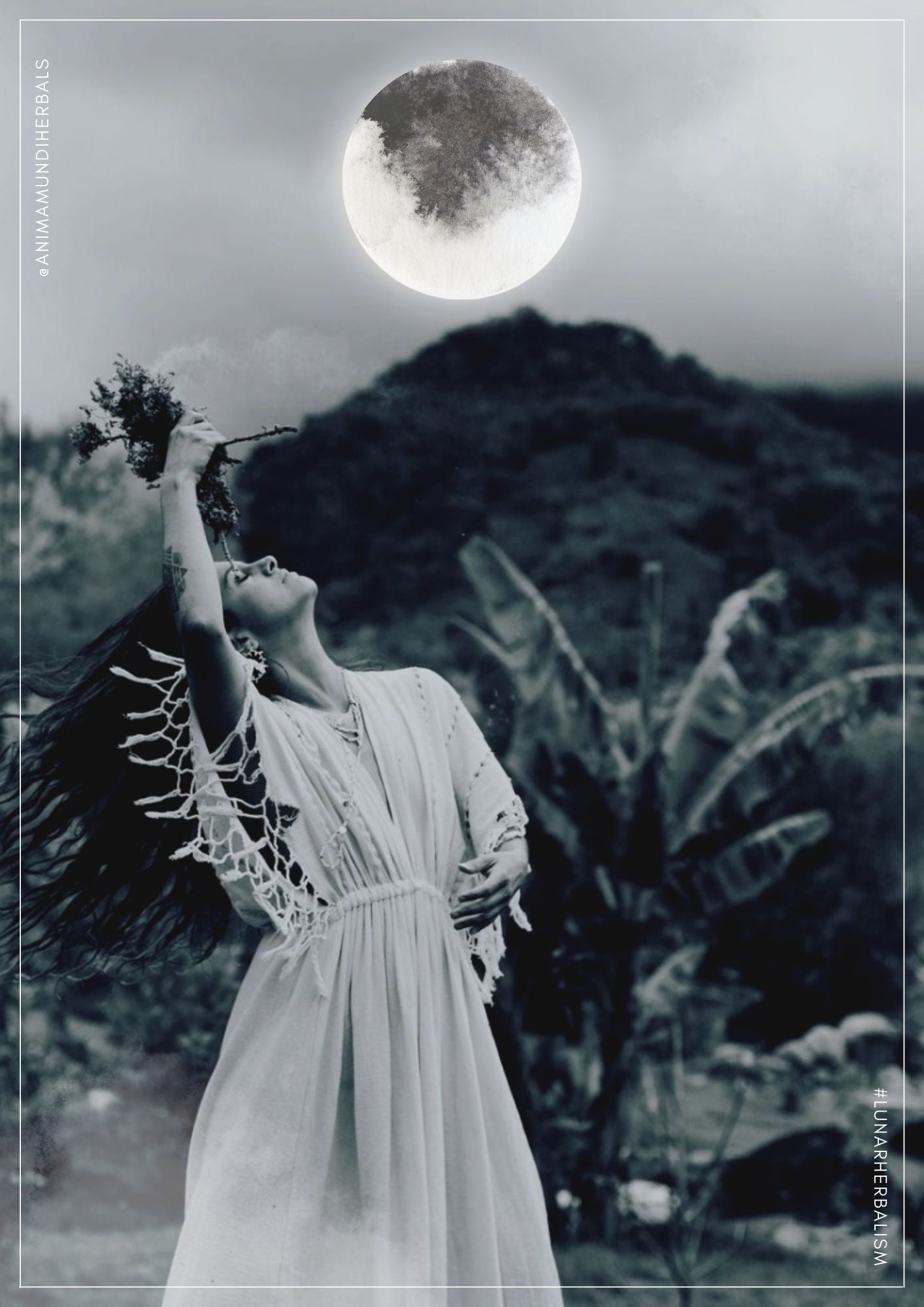 EXPLORE LUNAR HERBALISM + Make Moon Water with Adriana Ayales