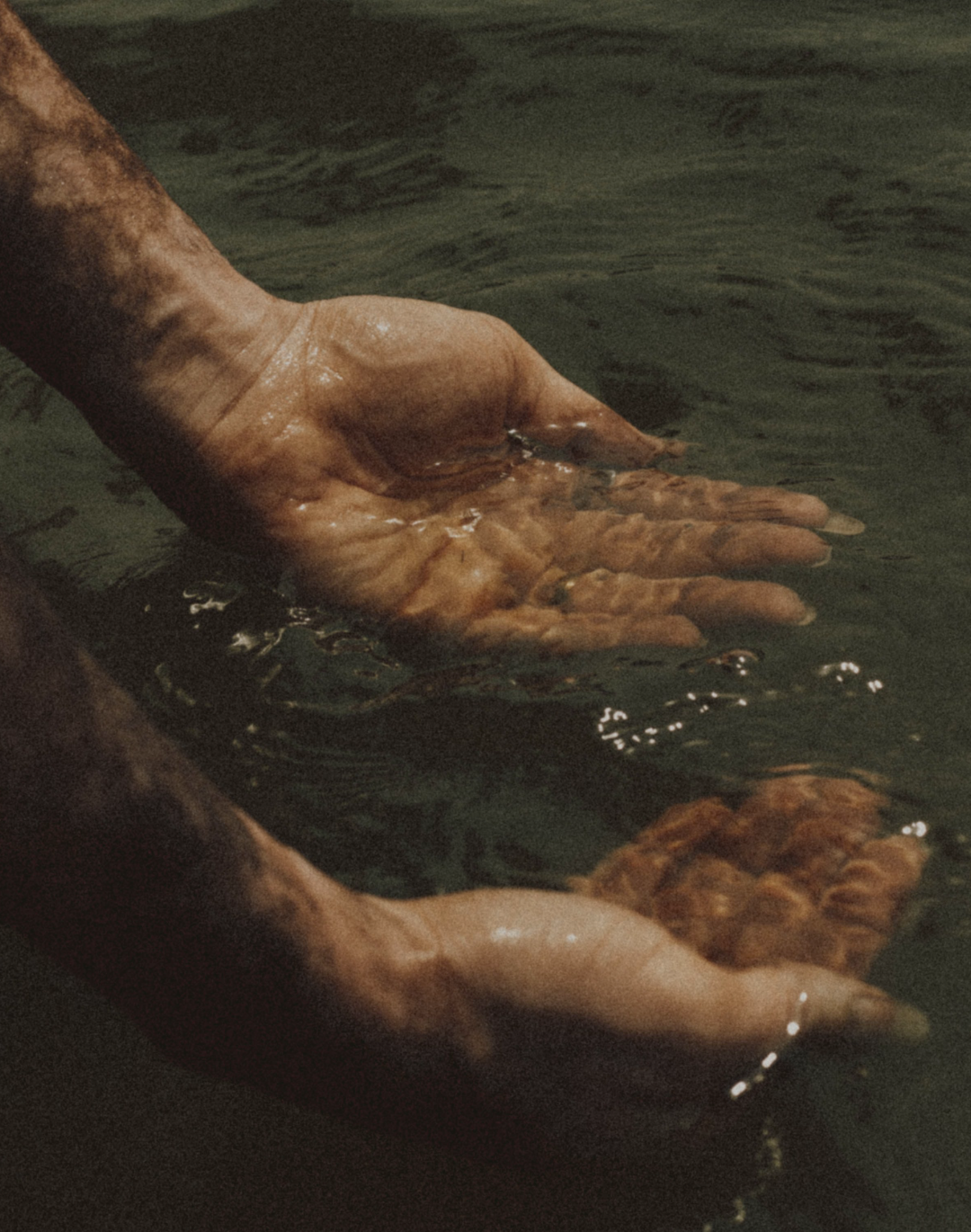 IS SPRING WATER Really From a Spring? The Label, Explained & A Return to Source