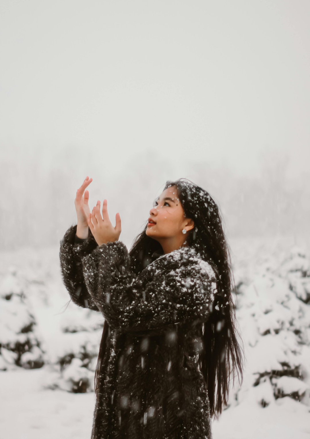 THE SACRED NO: Emotional Immunity As Winter Medicine