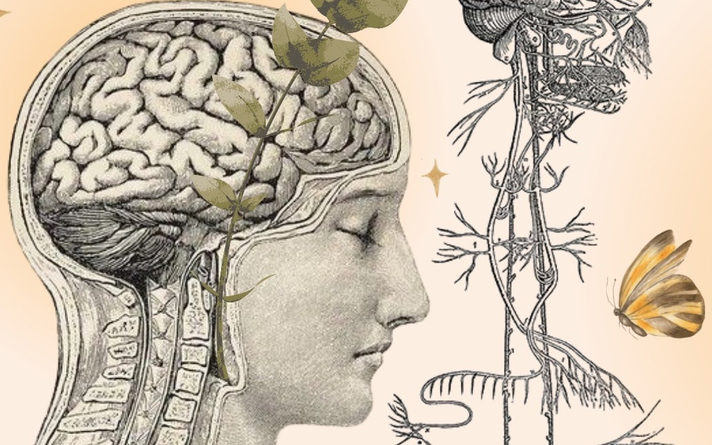 RITUALS TO SOOTHE The Vagus Nerve