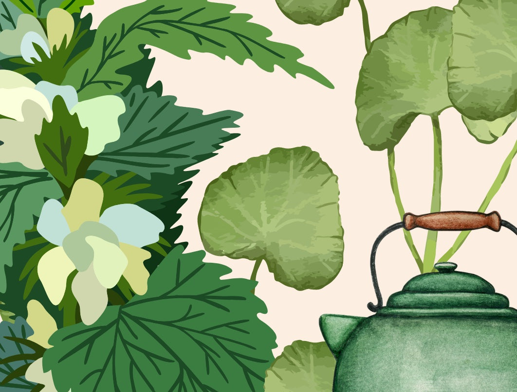 YOUR GUIDE TO Using Plants for Healthy Hair Growth