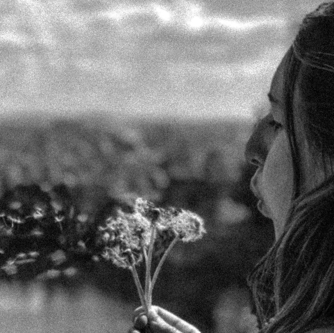 HERBALIST TIPS FOR Healthy Lungs