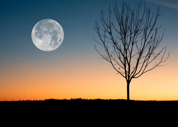 HOW TODAY'S FULL MOON In Cancer Affects Your Sign