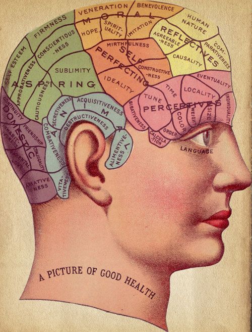 HERBS OF MERCURY .:. Herbs of the Brain + Mind