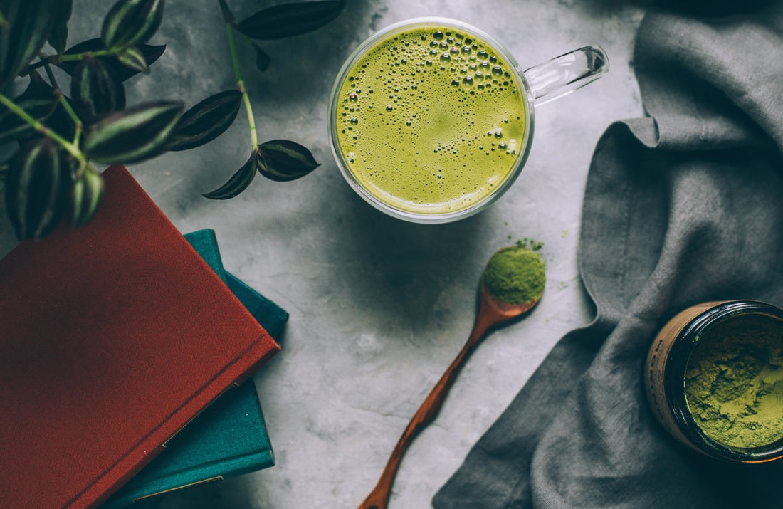 MEET MORINGA: The Ancient Mineralizing Tree