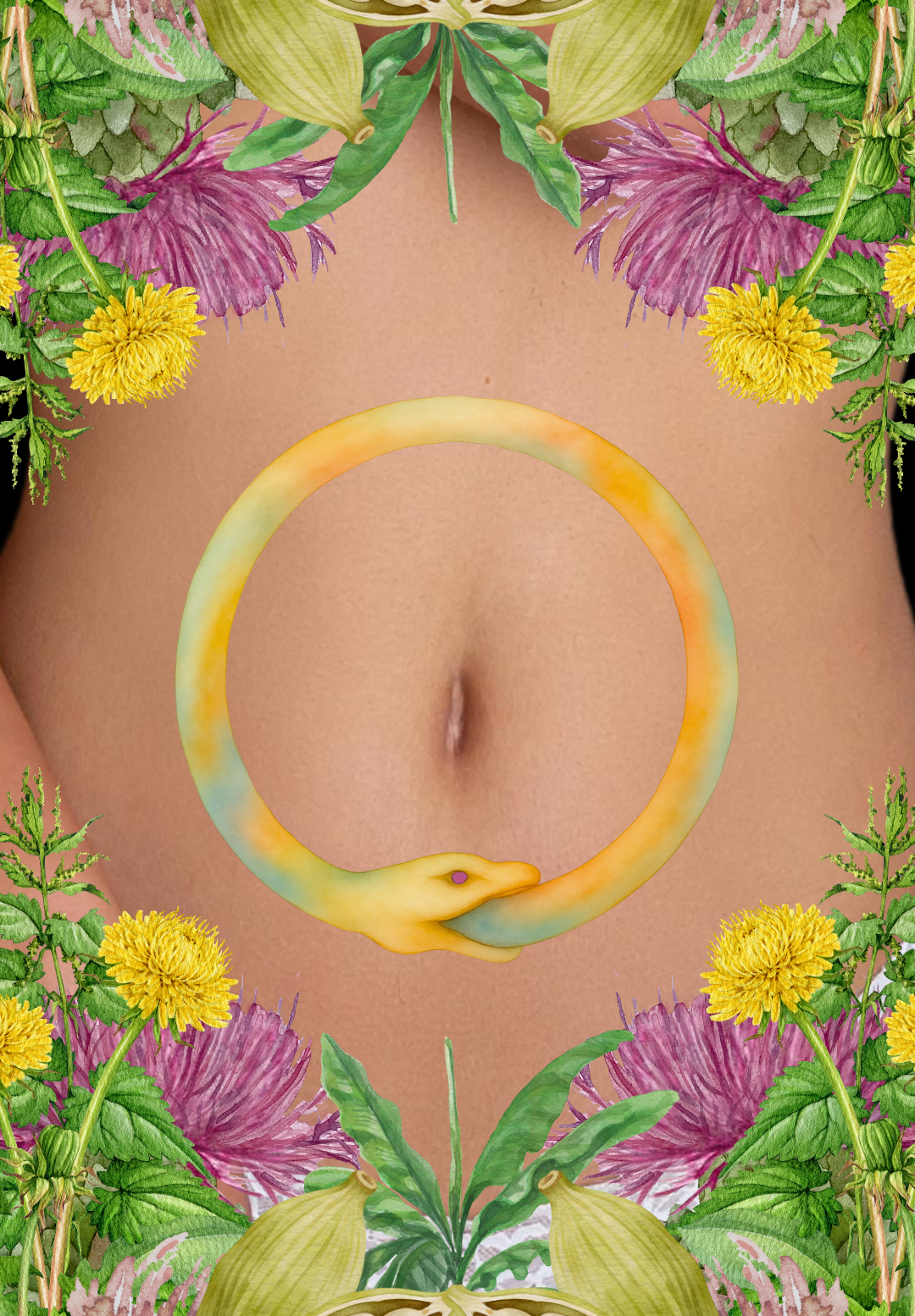 THE ESTROBOLOME EXPLAINED: Your Gut’s Hidden Hormone Loop