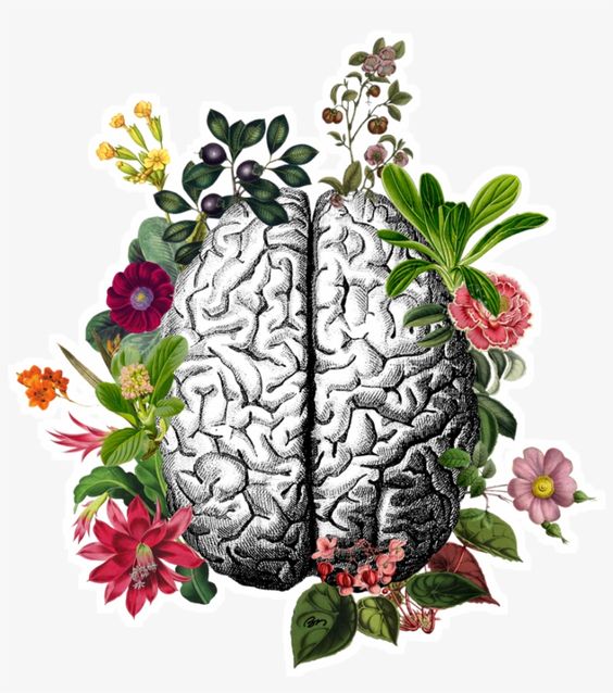 DIY BRAIN COCKTAIL
