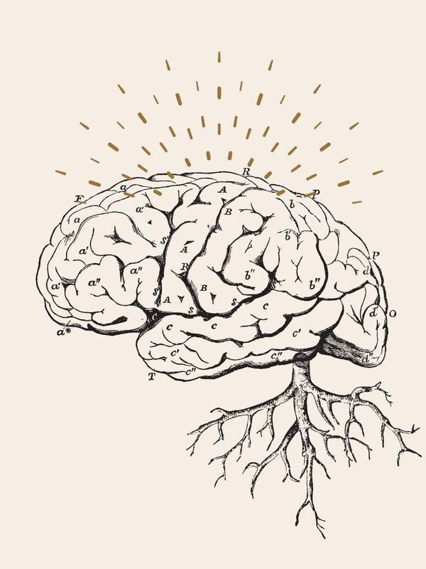 UNDERSTANDING 5 Brain WAVES for Higher Consciousness
