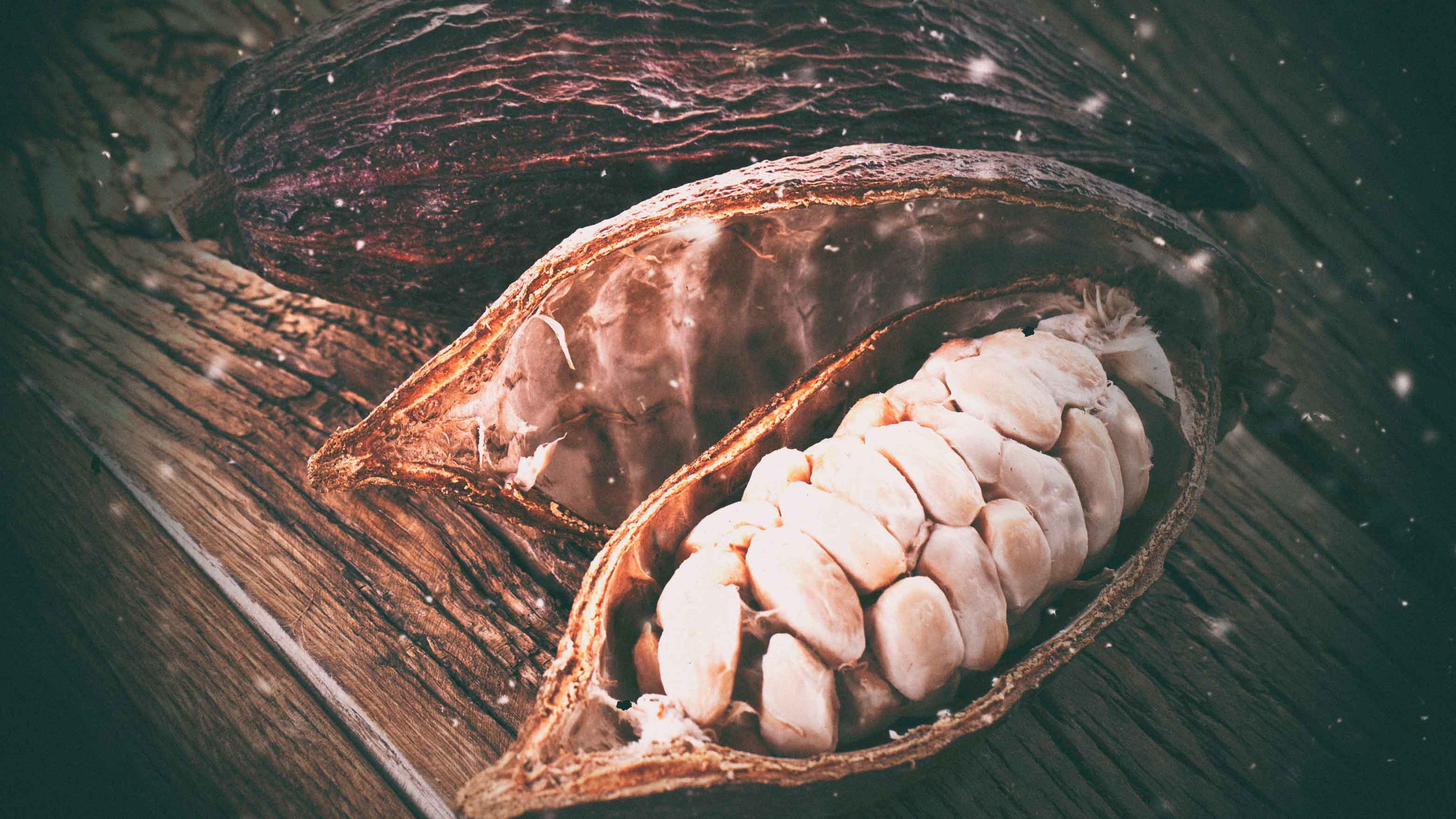 CAN CACAO ACTUALLY Help You Sleep Better?