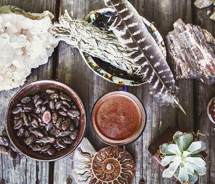 UNLOCKING MUSHROOMS with Cacao : adaptogenic treats to elevate your body & soul