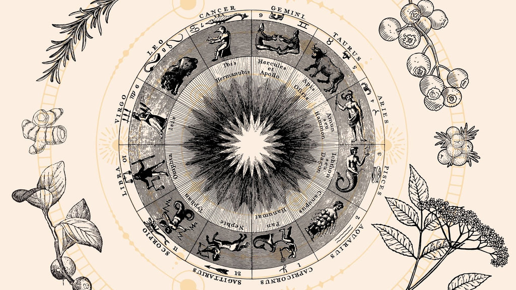  Astrology Wheel Zodiac Signs Girls Bathing Suit 2
