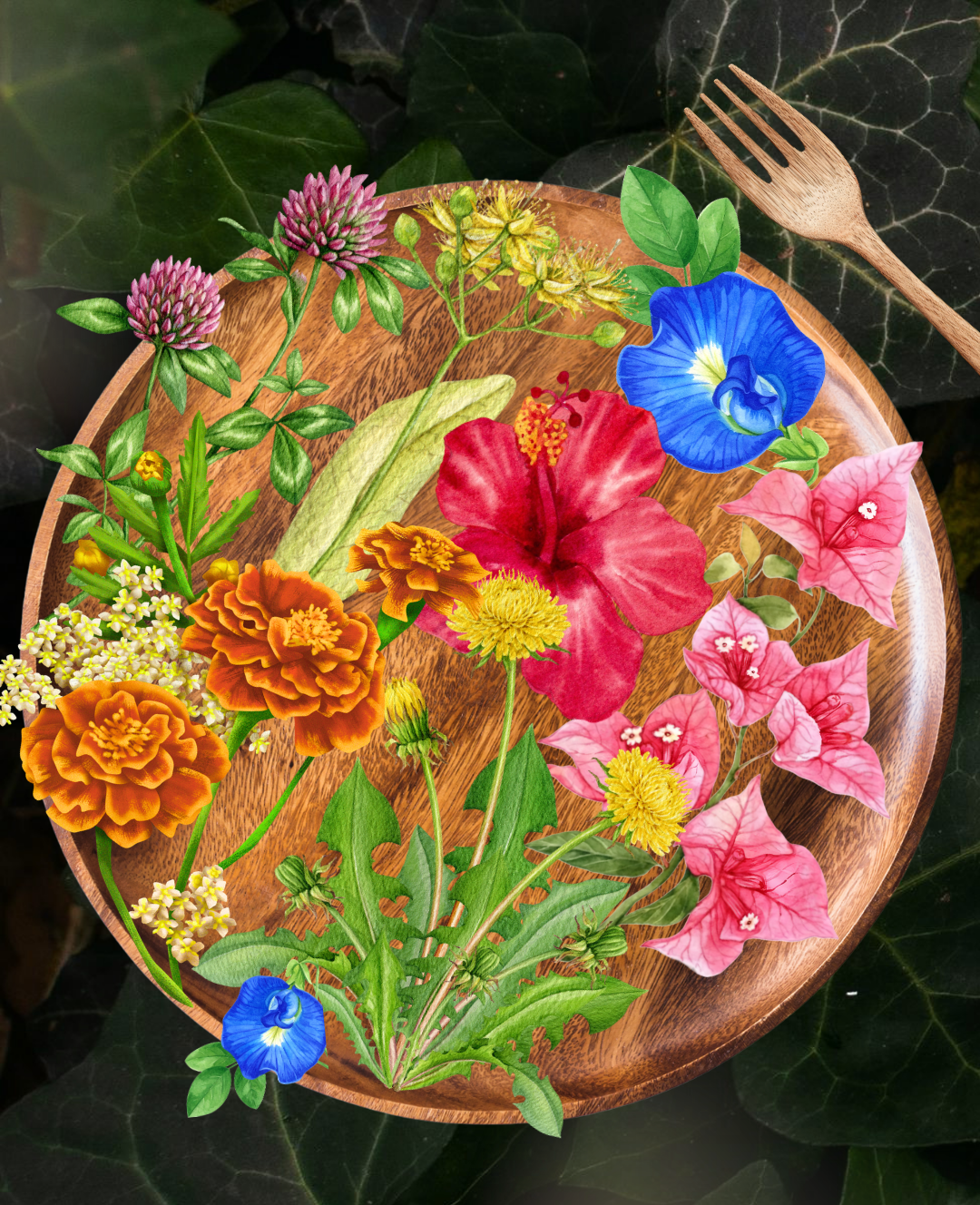 WILD & EDIBLE Spring in the Americas