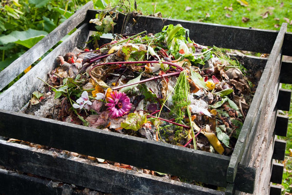 7 Tips to Start Composting