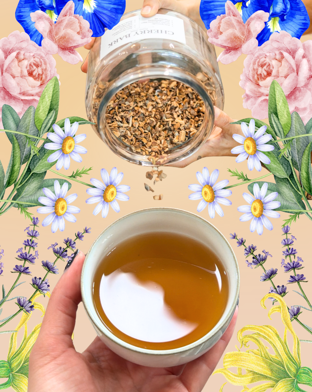 SMELL VS. STEEP: A Mini-Guide to Herbal Aromatics