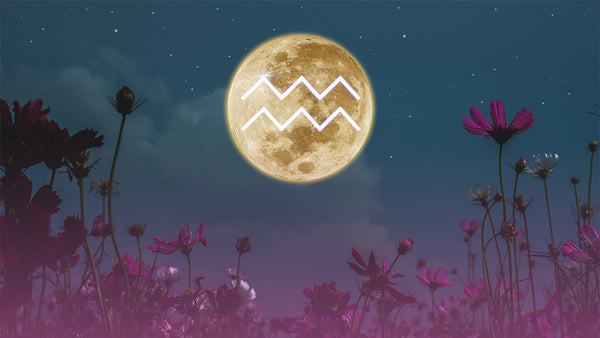 LEO SEASON, The Aquarius Full Moon + Everything in Between